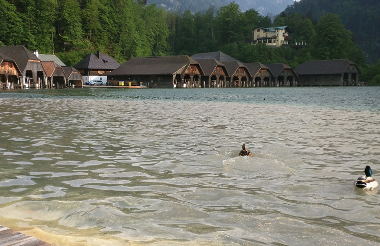 Konigssee (3)