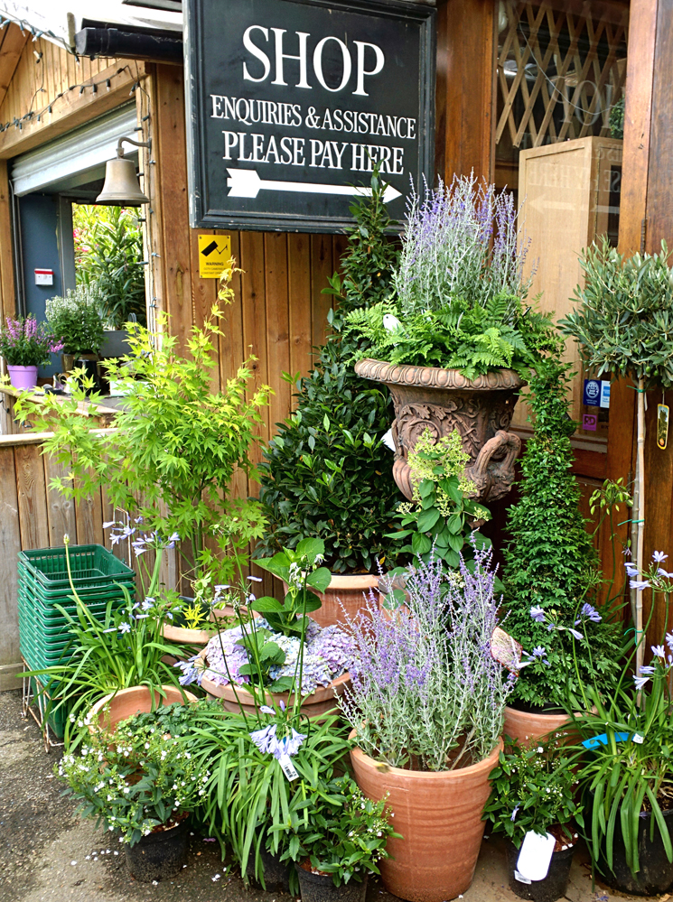 Clifton Nurseries