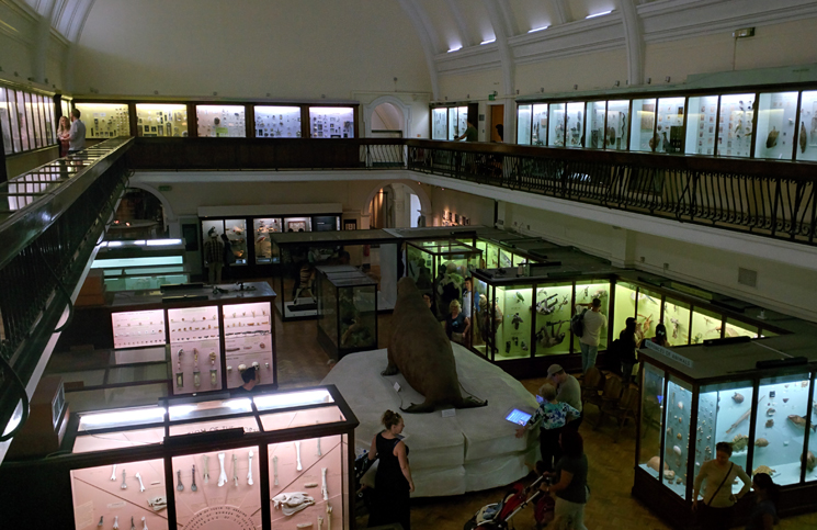 Horniman (6)