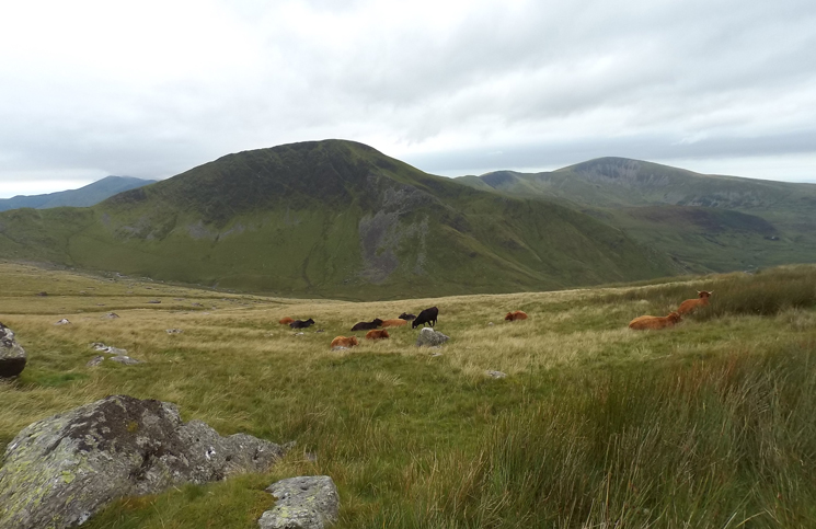 Snowdon