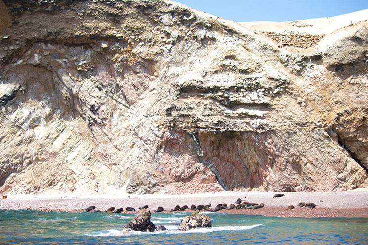 paracas_adv_lobos_marinhos