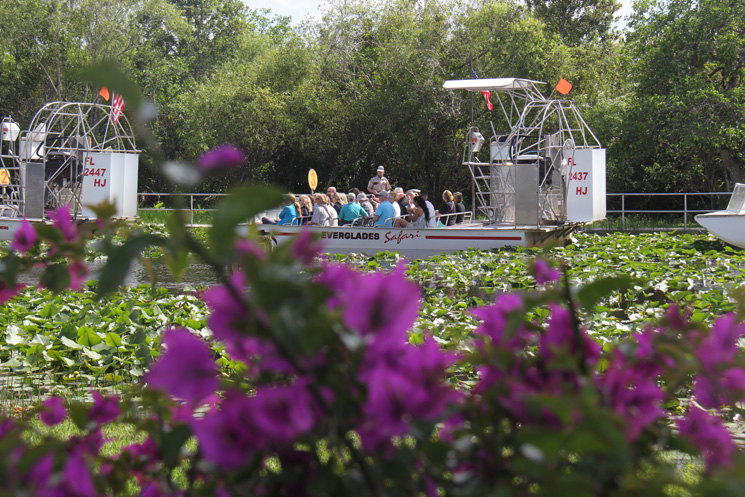 Airboat no everglades