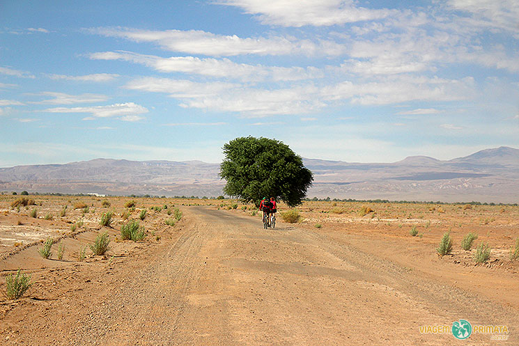 atacama-estrada-do-deserto-foto-viagem-primata