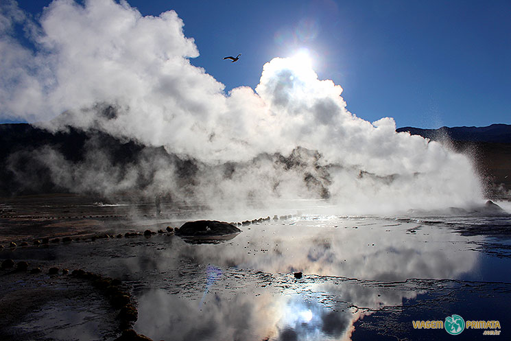 atacama-geisers-el-tatio-foto-viagem-primata