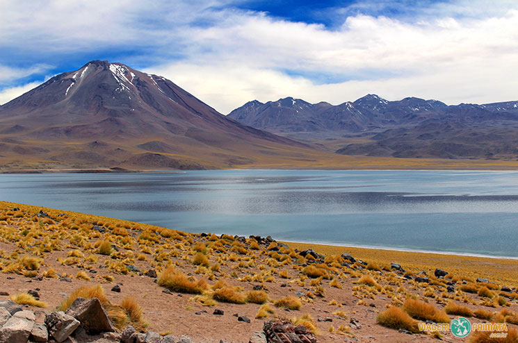 atacama-lagunas-altiplanicas-foto-viagem-primata