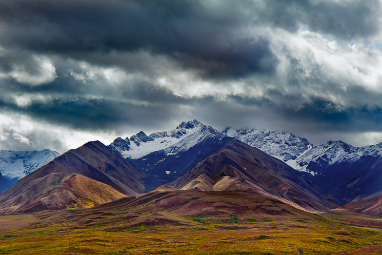 denali-national-park-1