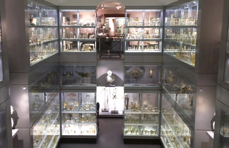 Hunterian Museum (1)