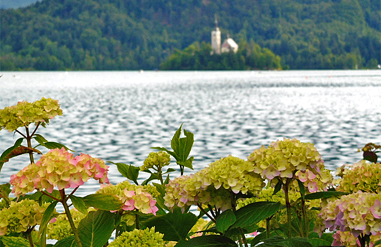 bled (11)