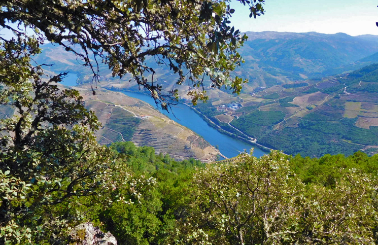 Vale do Douro