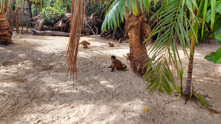 Lençois Maranhenses