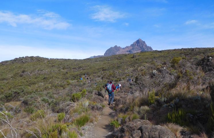 Kilimanjaro