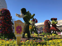 Flower & Garden Festival