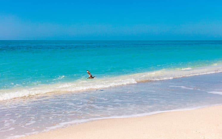 Sanibel FLorida praias do golfo