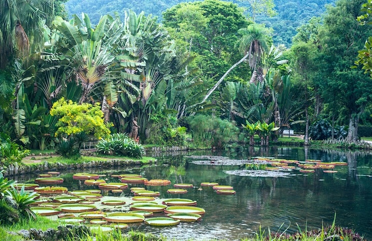 50 coisas para fazer no Rio de Janeiro 