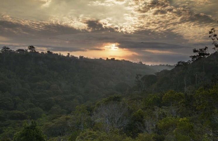 Parque nacional do pau Brasil Porto Seguro 