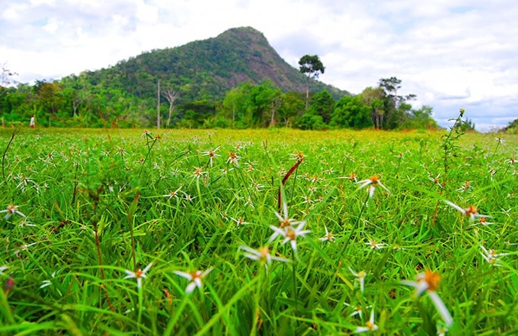 Parque Nacional e Histórico do Monte Pascoal