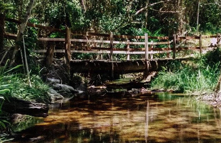 Parque Nacional do Pau Brasil Porto Seguro