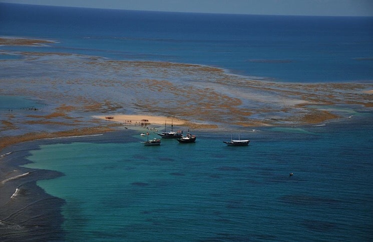 Parque Municipal Marinho Recife de Fora Porto Seguro