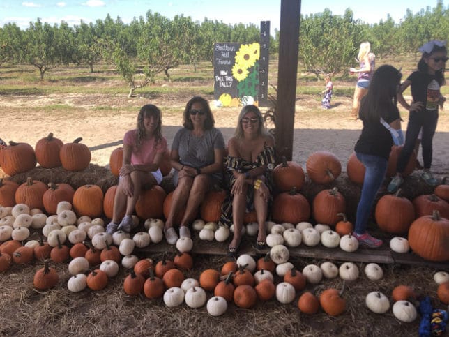 Pumpkin Patch