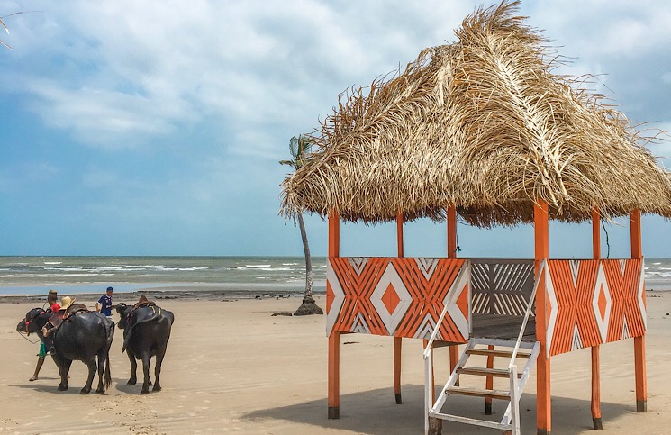 Praia de Pesqueiro Ilha de marajo 